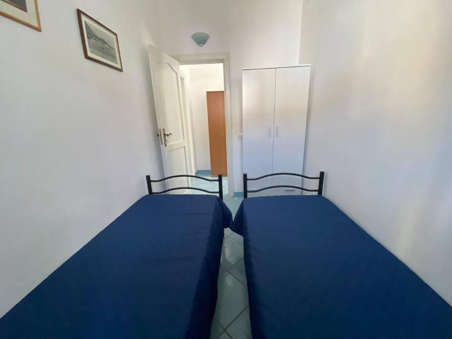 Casa Ferrandino Villa Ischia Dış mekan fotoğraf